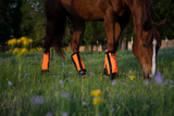 Warrior Fly Boots for Horses