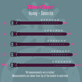 Senorita - Brown and Fuchsia Cactus Blossom Hooey Belt