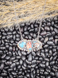 Boho western necklace featuring turquoise and jasper stones on black beans and wheatgrass background