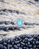 The Riley Adjustable Genuine Turquoise Ring displayed on beans and wheat.