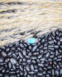 Turquoise ring on black beans with wheat stalks in the background