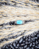 Silver ring with a blue stone on a background of wheat and black beans