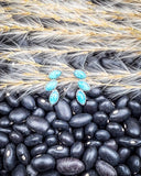 Turquoise earrings on black beans with a wheat background