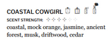 Coastal Cowgirl Roll On Perfume Oil