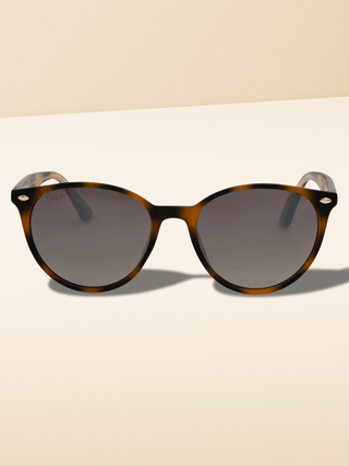 Asher Tangle - Free Polarized Sunglasses – Accessories from Bronco Western Supply Co.