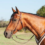 Cashel Harness Browband Headstall - Headstalls & Accessories - Cashel Company - Bronco Western Supply Co.