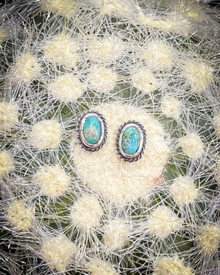 Fala Genuine Turquoise Stud Earrings – Jewelry from Bronco Western Supply Co.