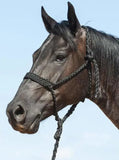 Flat Braid Halter with 8ft Lead - Black - Halters & Leads - Cashel Company - Bronco Western Supply Co.