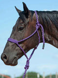 Flat Braid Halter with 8ft Lead - Purple - Halters & Leads - Cashel Company - Bronco Western Supply Co.