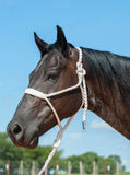 Flat Braid Halter with 8ft Lead - White - Halters & Leads - Cashel Company - Bronco Western Supply Co.