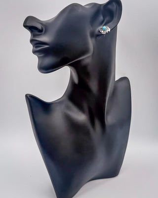 High Desert Dream Fashion Earring Set – Jewelry from Bronco Western Supply Co.