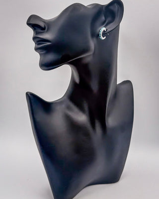 High Desert Dream Fashion Earring Set - Jewelry - Blue Tortoise - Bronco Western Supply Co.