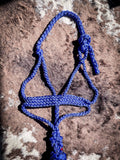 Premium Mule Tape Halter with 10ft Lead - Blue - Halters & Leads - Tough 1 - Bronco Western Supply Co.