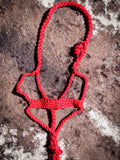 Premium Mule Tape Halter with 10ft Lead - Red - Halters & Leads - Tough 1 - Bronco Western Supply Co.