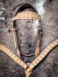 Royal King Branson Browband Headstall - Headstalls & Accessories - Tough 1 - Bronco Western Supply Co.