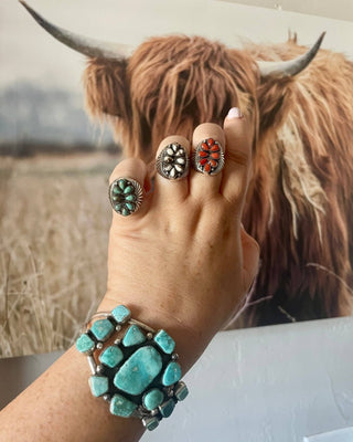 Hand wearing multiple rings with a background of a highland cow.