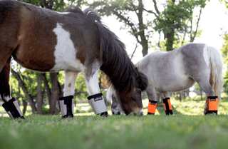 Warrior Fly Boots for Horses - Fly Care - Muvado - Bronco Western Supply Co.