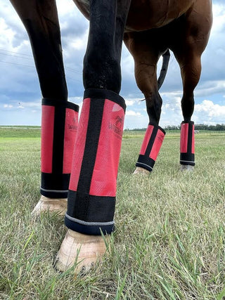 Warrior Fly Boots for Horses – Fly Care from Bronco Western Supply Co.