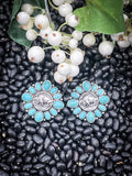 Buffalo Coin Stud Fashion Earrings